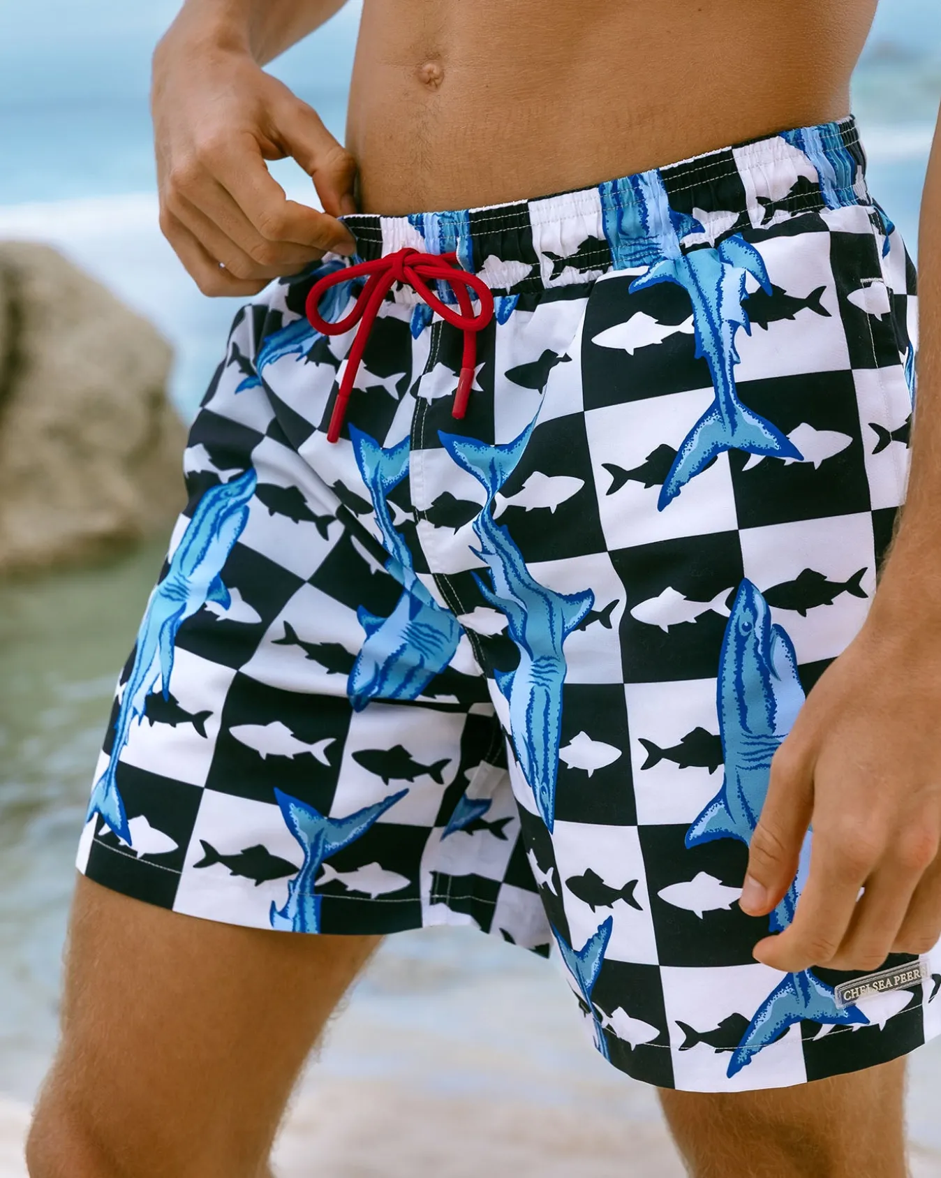 Checkerboard Shark Print Swim Shorts